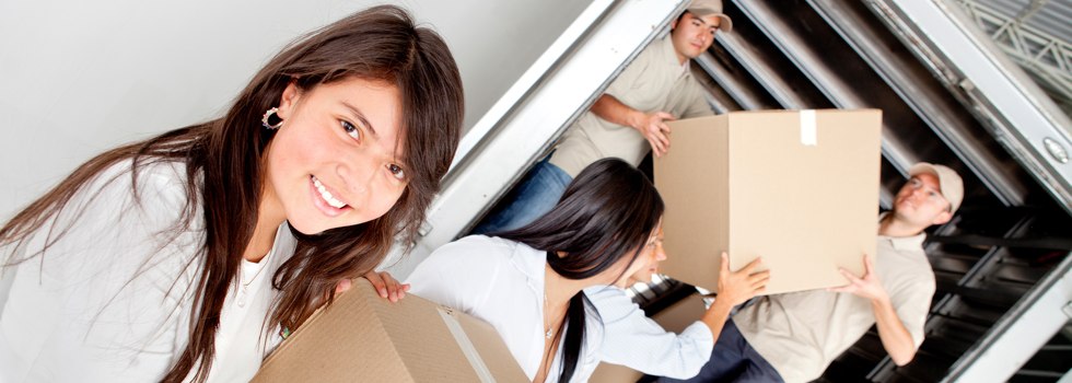Professional Removalists Fairdale